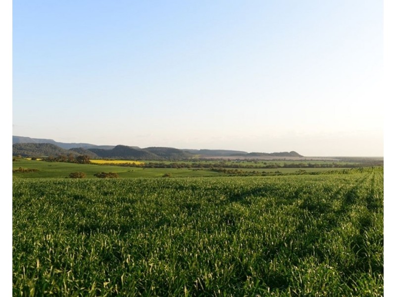 Couradda North, Narrabri NSW 2390