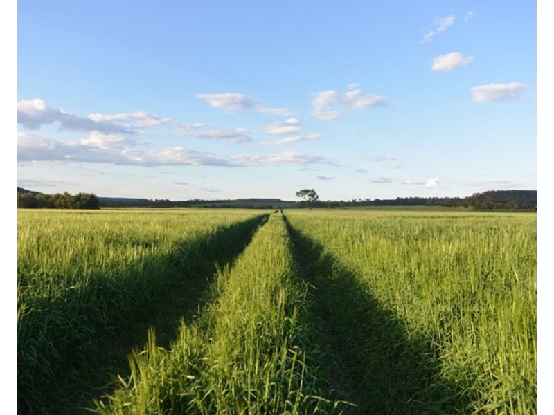 Couradda North, Narrabri NSW 2390