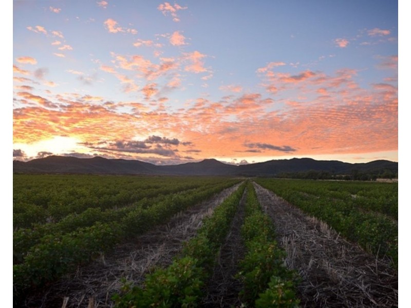 Couradda North, Narrabri NSW 2390