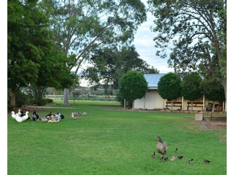 Couradda North, Narrabri NSW 2390