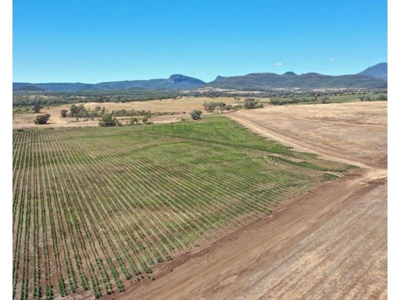 Wonga Downs, Bellata NSW 2397