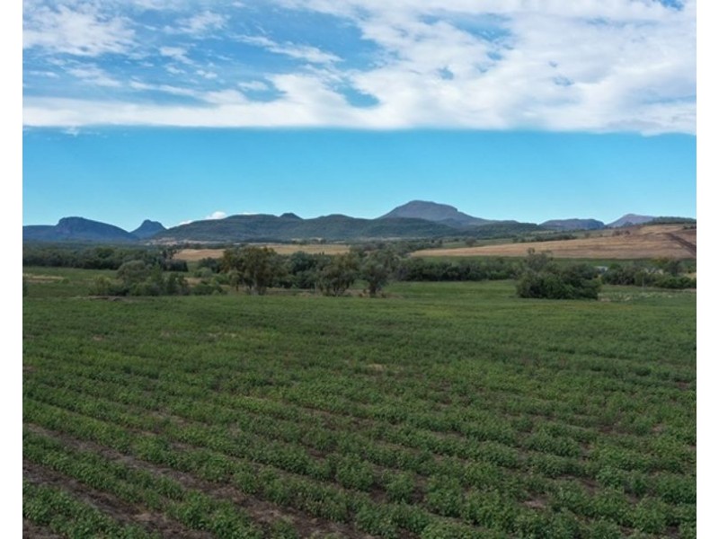 Wonga Downs, Bellata NSW 2397