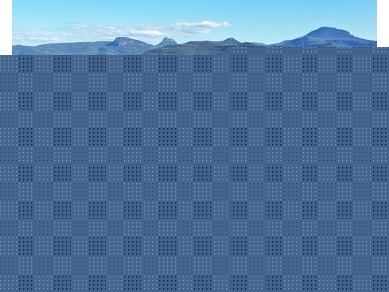 Wonga Downs, Bellata NSW 2397