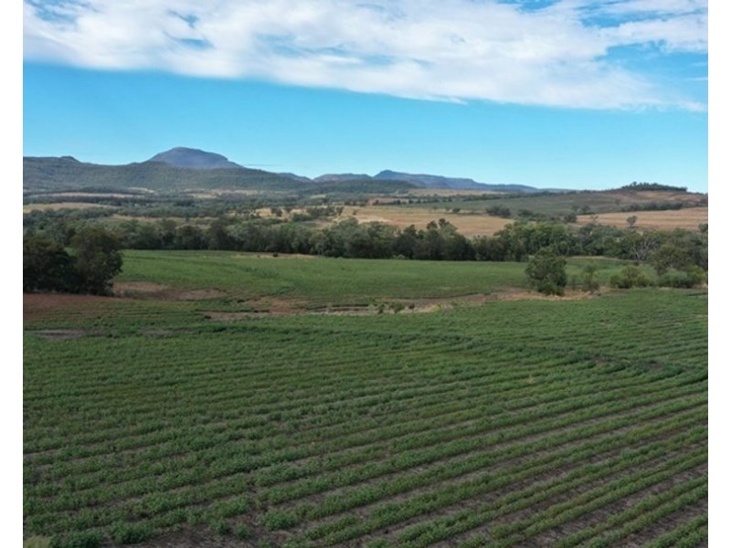 Wonga Downs, Bellata NSW 2397