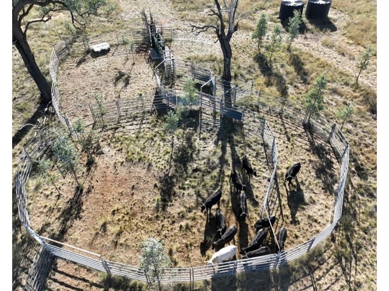 Emu Vale, Bingara NSW 2404