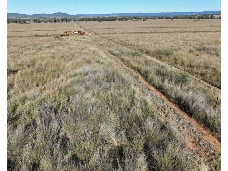 Emu Vale, Bingara NSW 2404