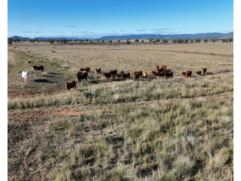 Emu Vale, Bingara NSW 2404