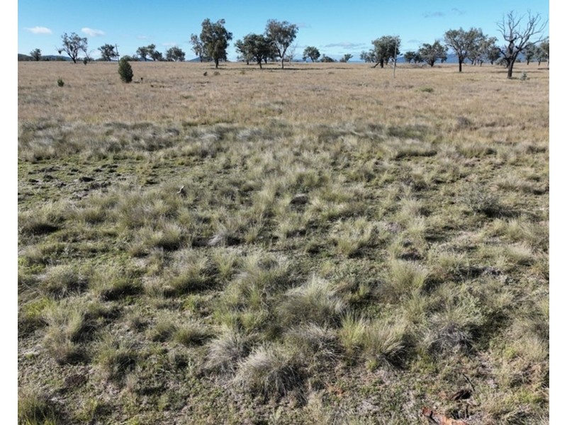 Emu Vale, Bingara NSW 2404