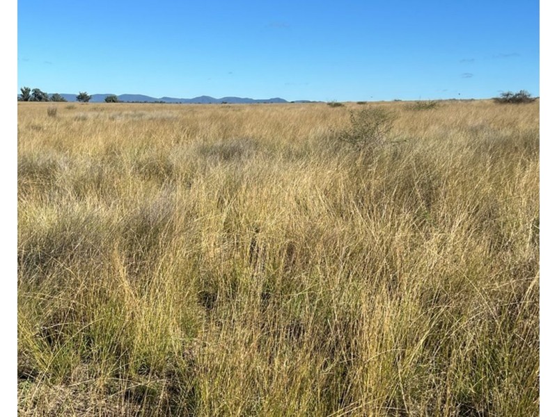 Emu Vale, Bingara NSW 2404