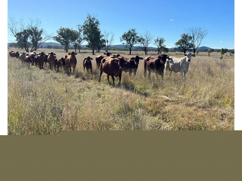 Emu Vale, Bingara NSW 2404