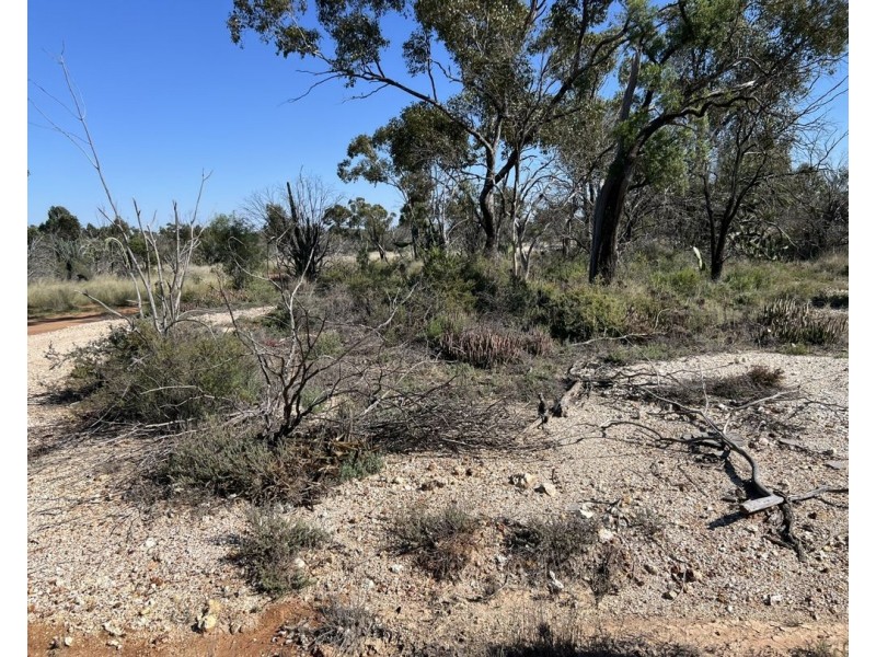 WLL14676 Lightning Ridge, Lightning Ridge NSW 2834