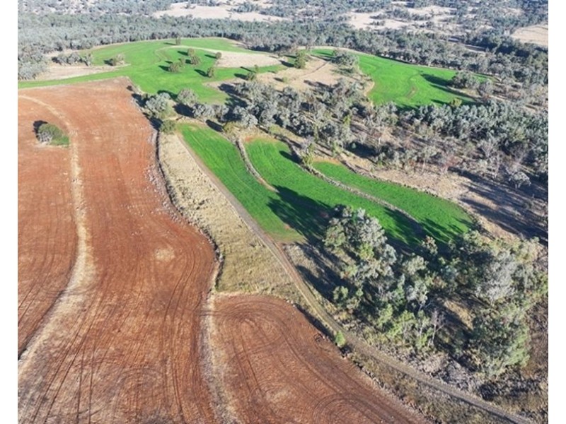 Wyangarie, Warialda NSW 2402