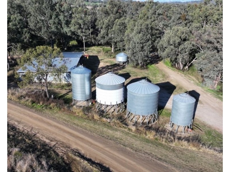 Wyangarie, Warialda NSW 2402