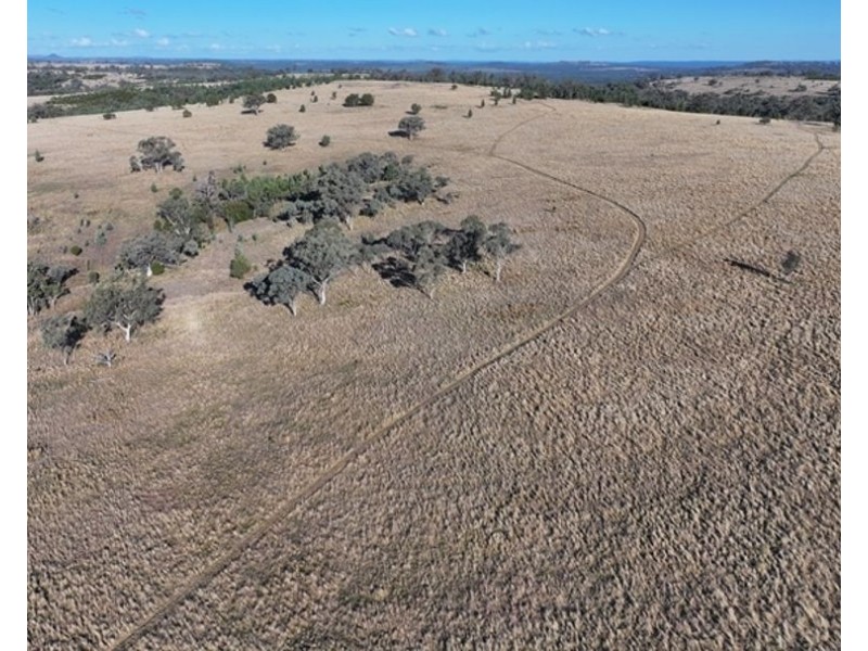 Wyangarie, Warialda NSW 2402