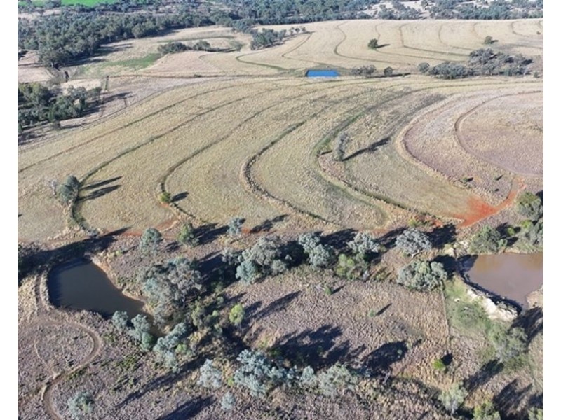 Wyangarie, Warialda NSW 2402