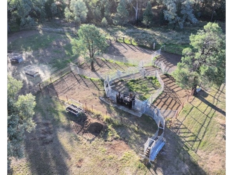 Wyangarie, Warialda NSW 2402