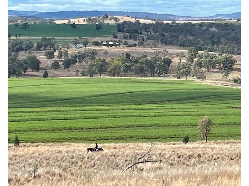 Wyangarie, Warialda NSW 2402