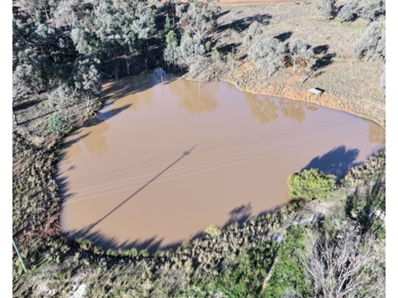 Wyangarie, Warialda NSW 2402