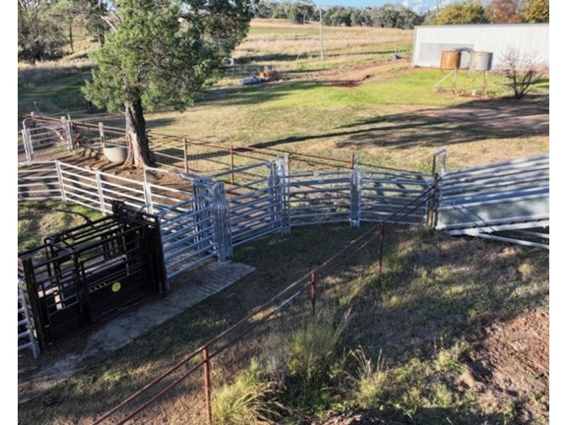 Wyangarie, Warialda NSW 2402