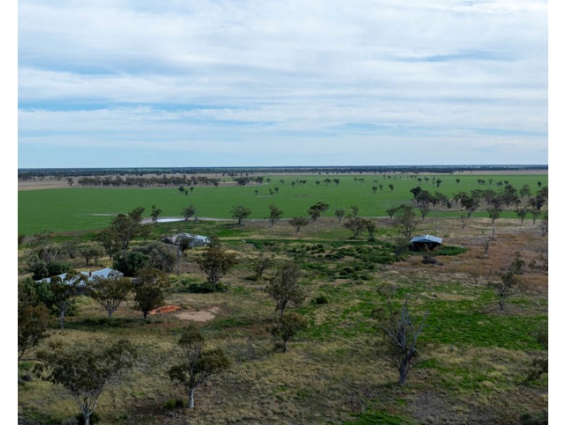 Yileena, Moree NSW 2400