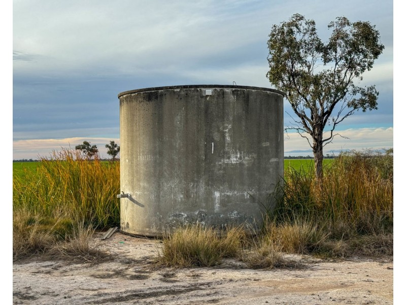 Yileena, Moree NSW 2400