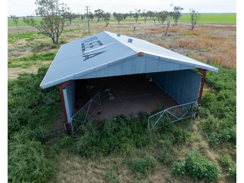 Yileena, Moree NSW 2400