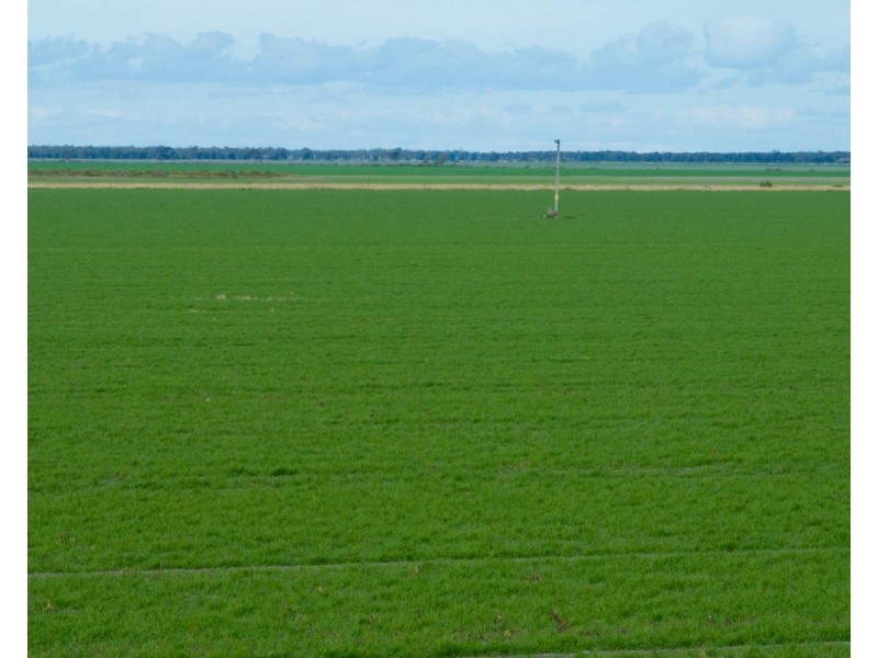 Yileena, Moree NSW 2400