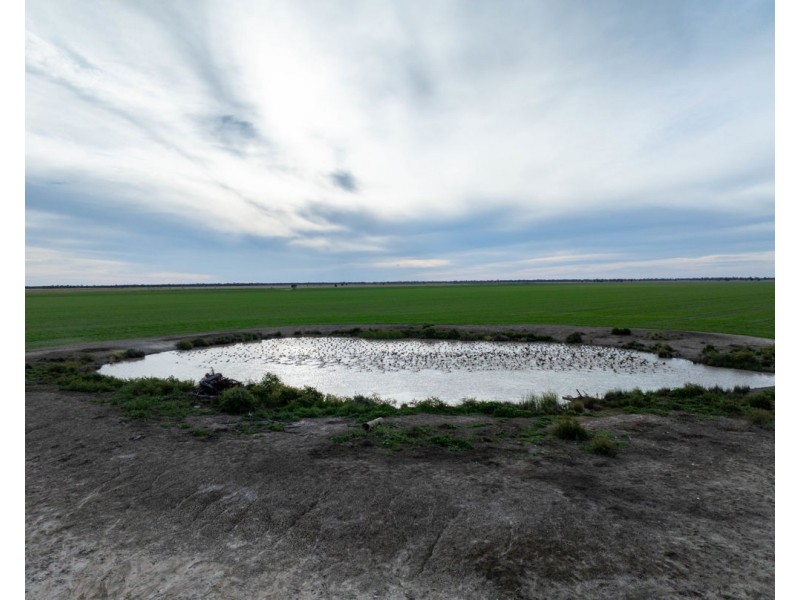 Yileena, Moree NSW 2400