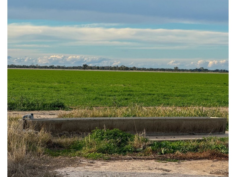 Yileena, Moree NSW 2400