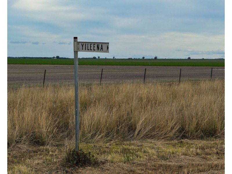 Yileena, Moree NSW 2400