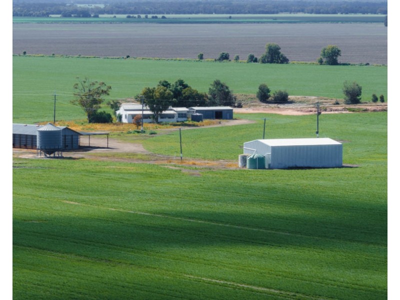 Kanimbla, Moree NSW 2400