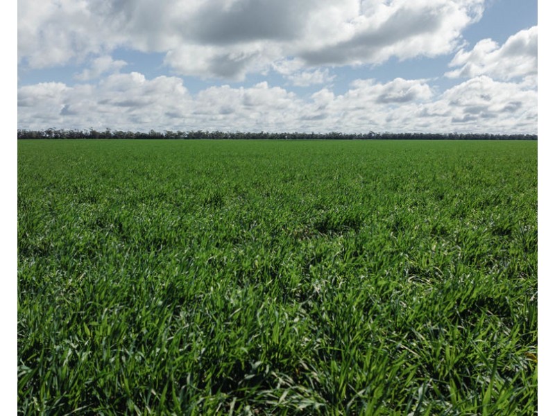 Kanimbla, Moree NSW 2400