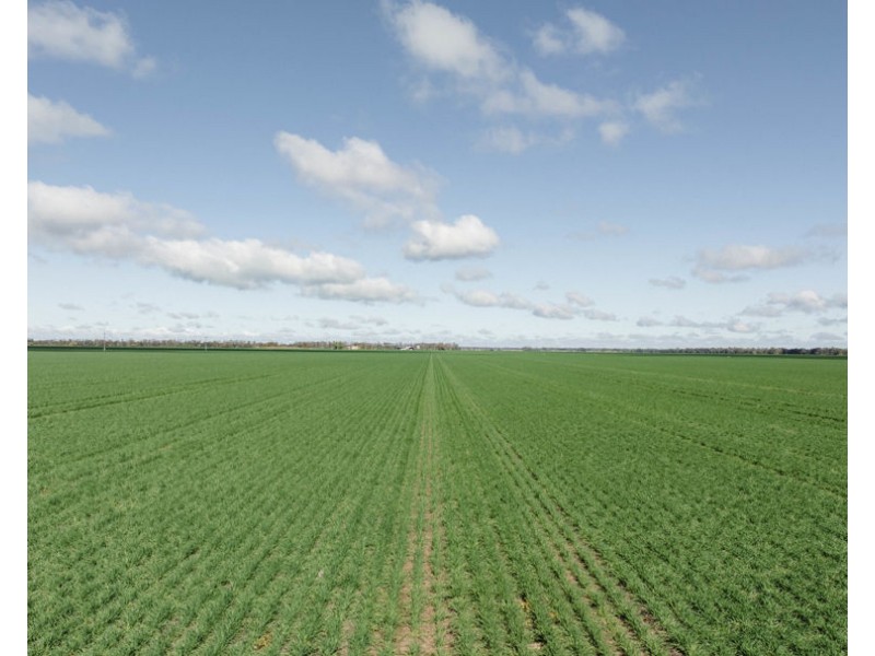 Kanimbla, Moree NSW 2400