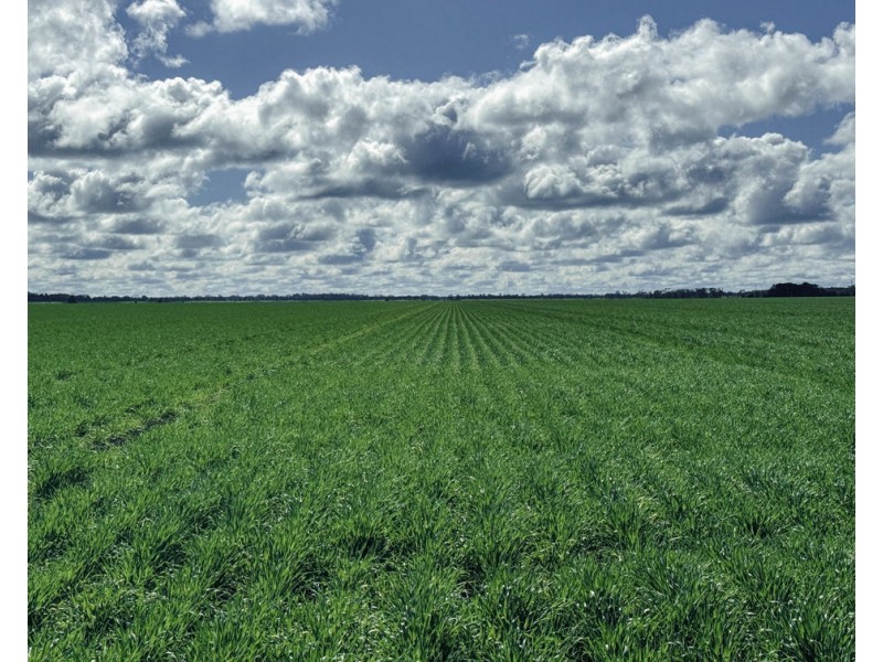 Kanimbla, Moree NSW 2400