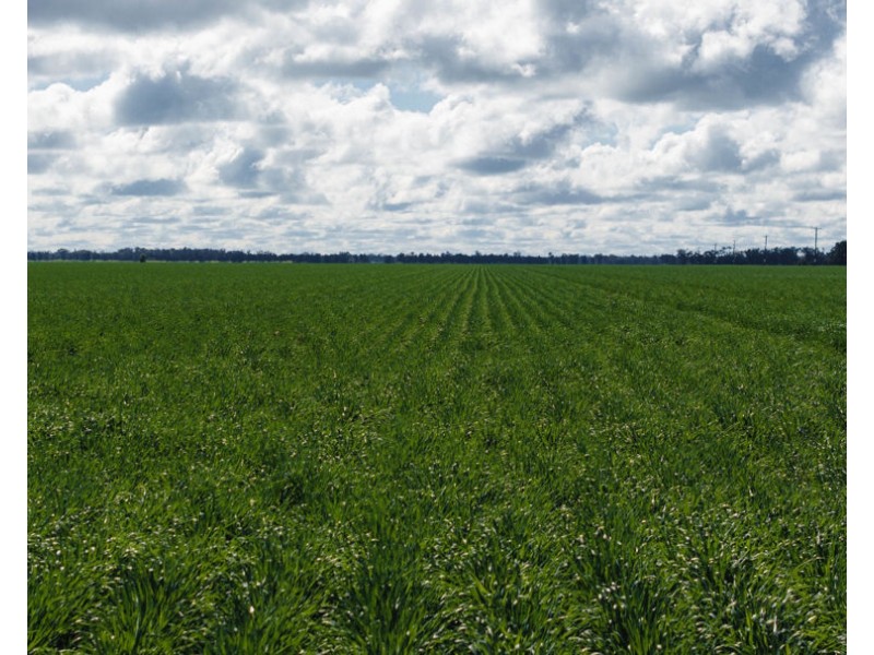 Kanimbla, Moree NSW 2400