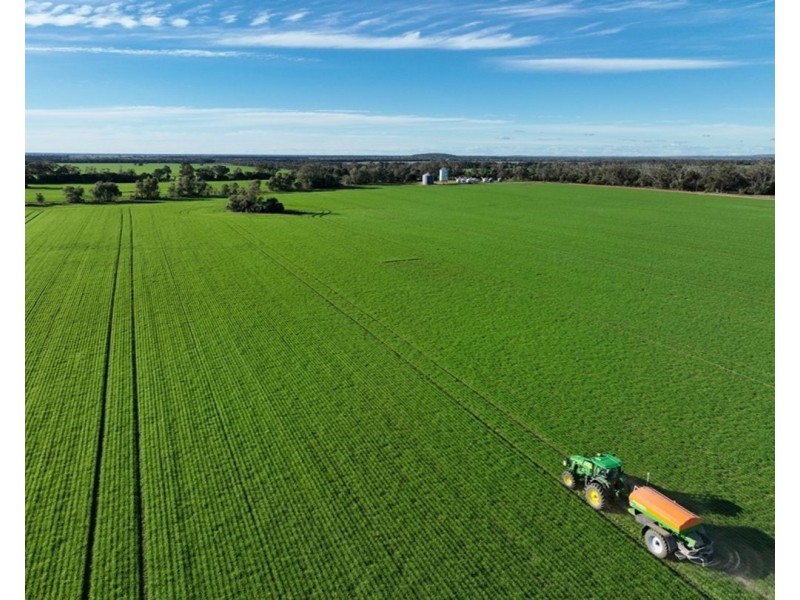 Wilgaroi, Bellata NSW 2397