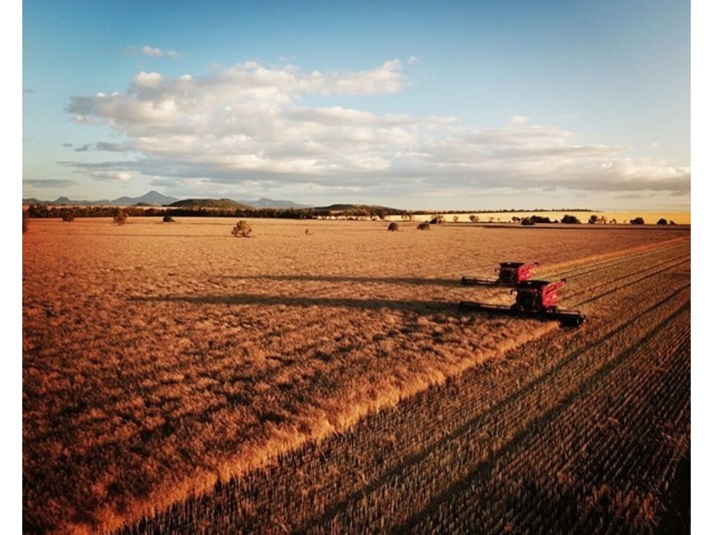 Wilgaroi, Bellata NSW 2397