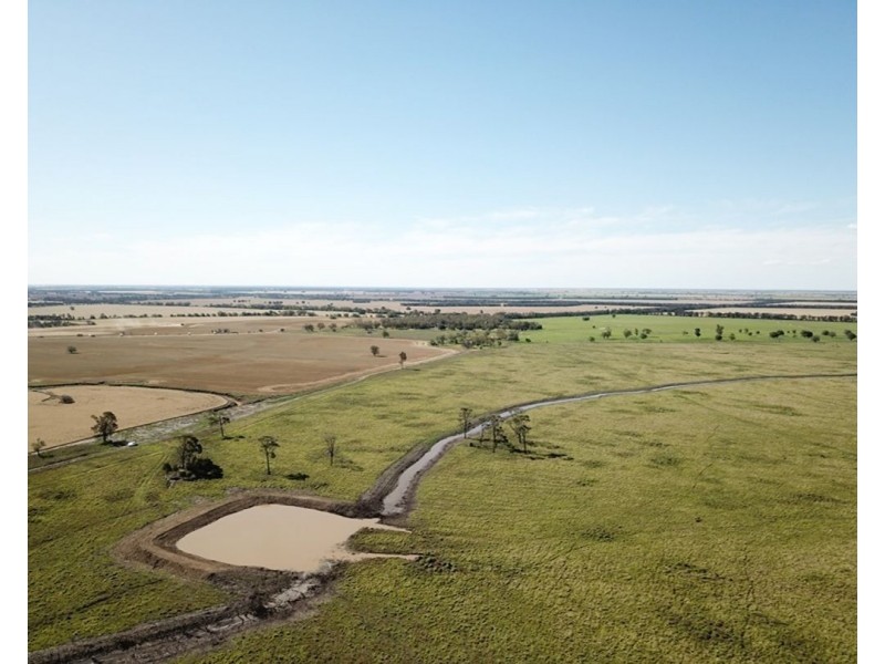 Wilgaroi, Bellata NSW 2397