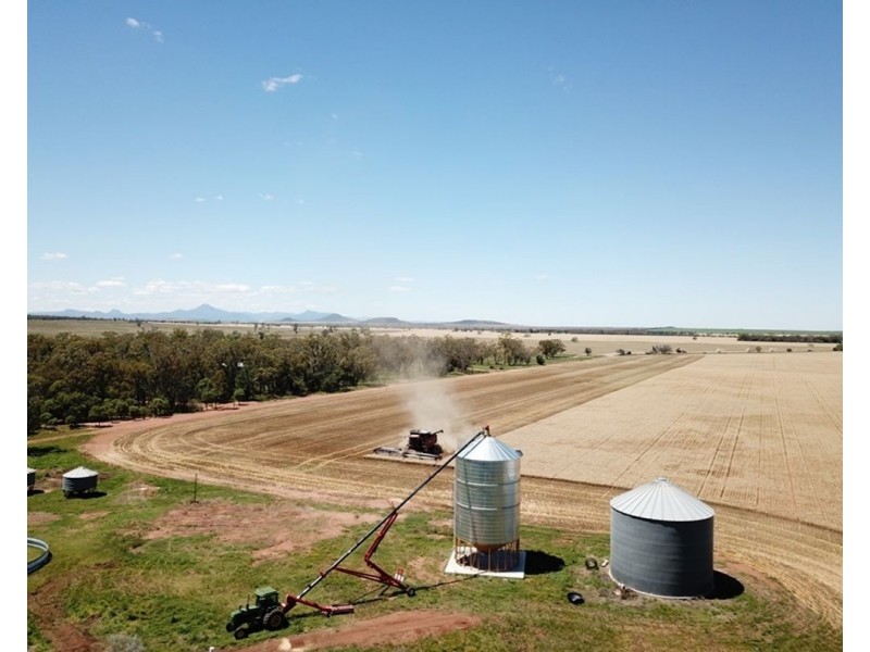 Wilgaroi, Bellata NSW 2397