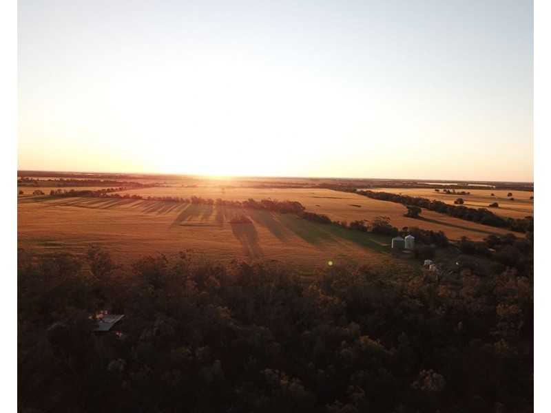 Wilgaroi, Bellata NSW 2397