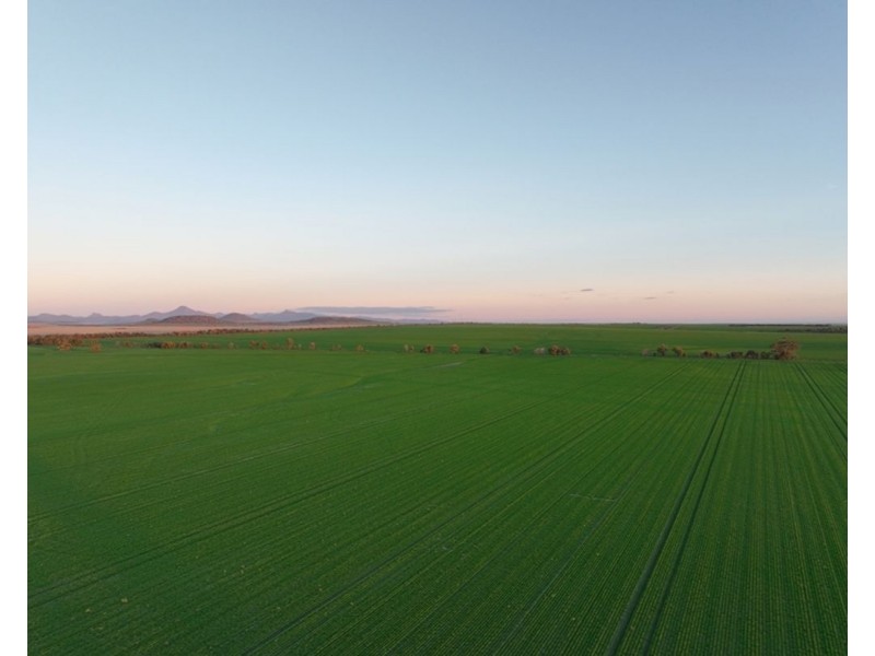 Wilgaroi, Bellata NSW 2397