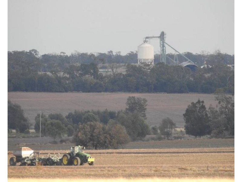 Wilgaroi, Bellata NSW 2397