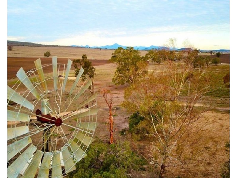 Wilgaroi, Bellata NSW 2397