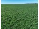Bil Bil, Goodooga NSW 2831