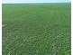 Bil Bil, Goodooga NSW 2831