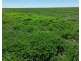 Bil Bil, Goodooga NSW 2831
