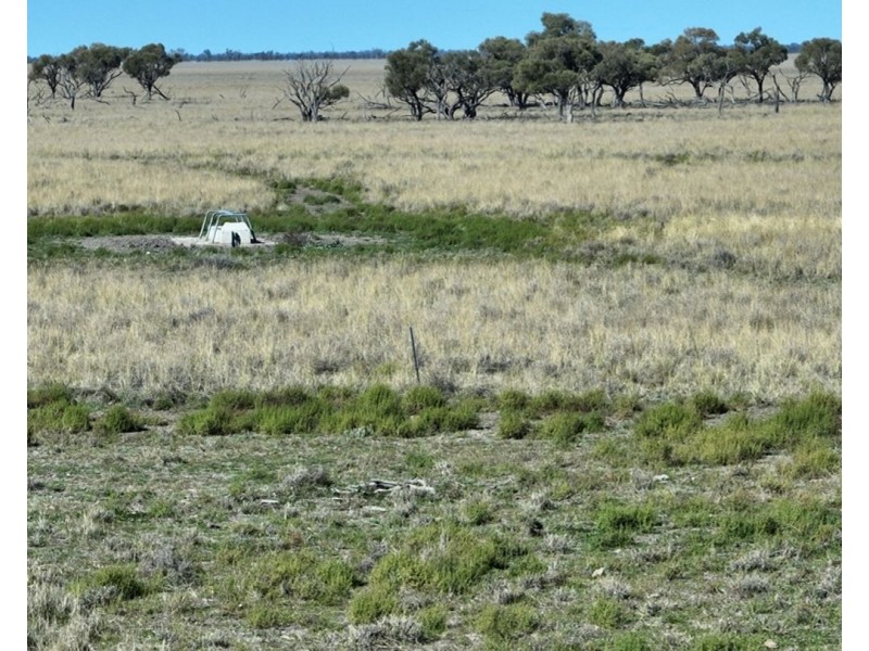 Bil Bil, Goodooga NSW 2831