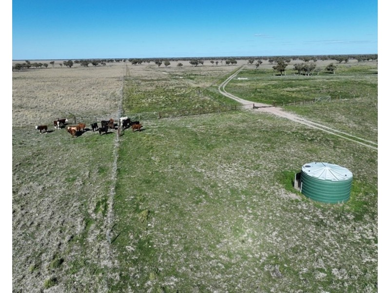 Bil Bil, Goodooga NSW 2831