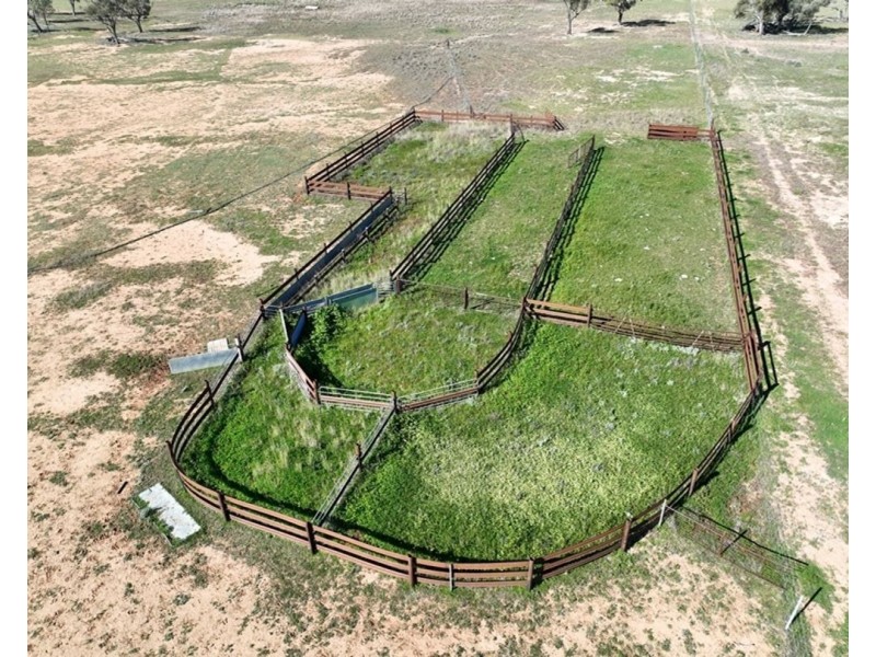 Bil Bil, Goodooga NSW 2831