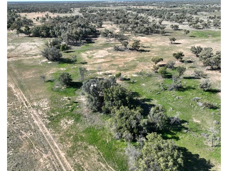 Bil Bil, Goodooga NSW 2831